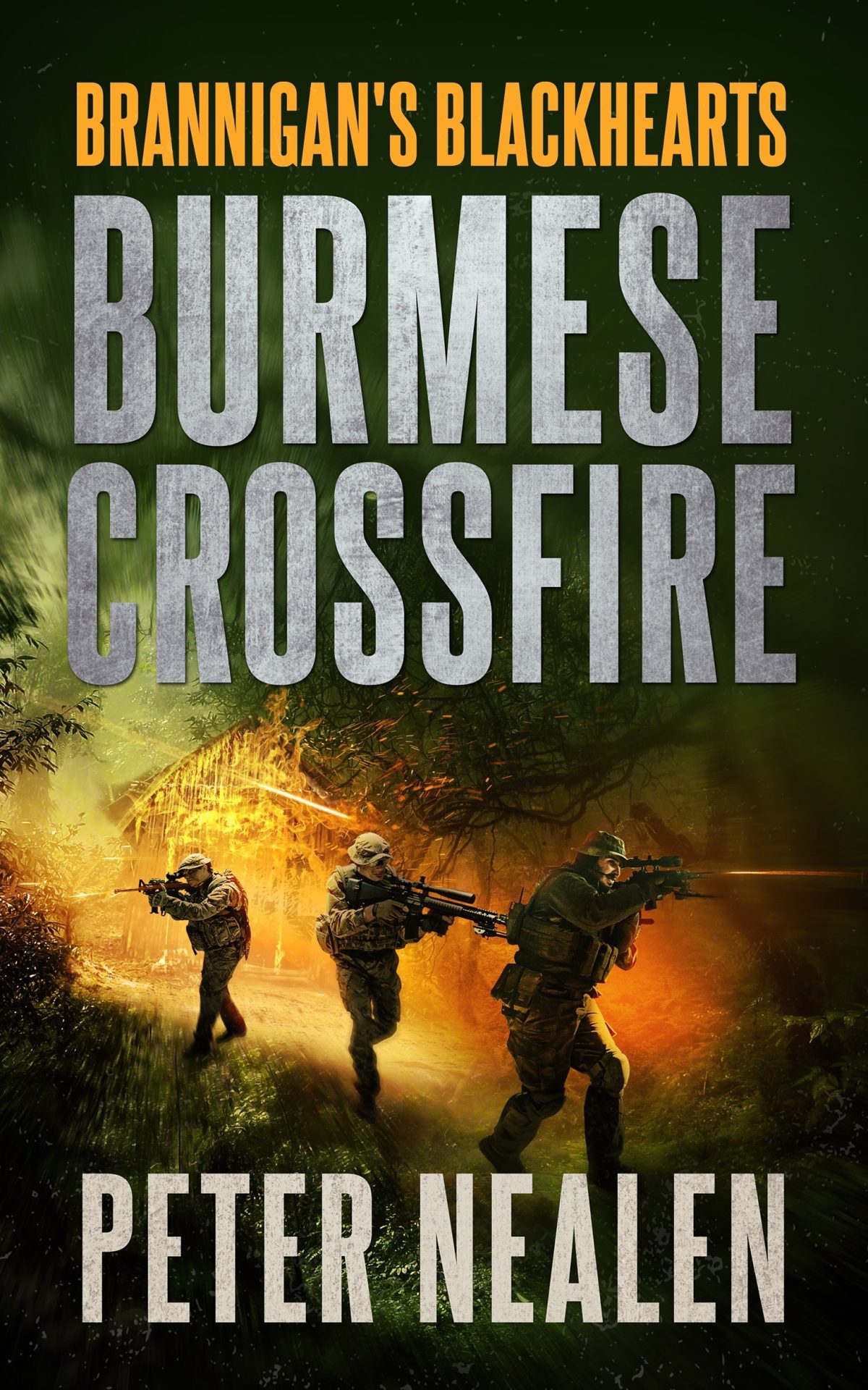 Burmese Crossfire by Peter Nealen